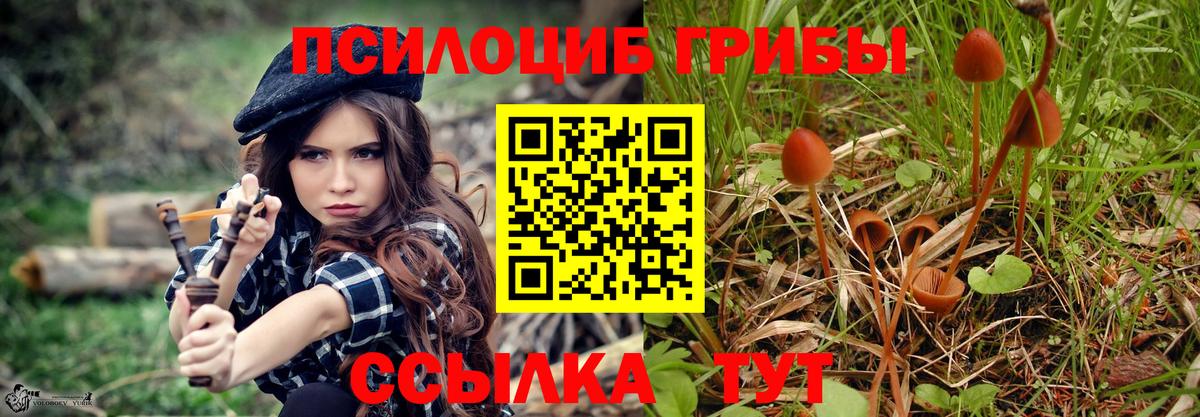 Псилоцибиновые грибы прущие грибы  Вход с VPN  где найти наркотики  Новозыбков 