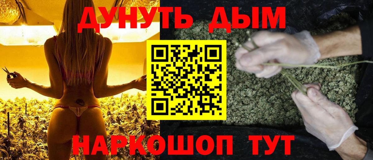 Бошки марихуана индика  МАРИХУАНА сатива  Вход с VPN  Новозыбков  Марихуана марихуана  МАРИХУАНА Bruce Banner 